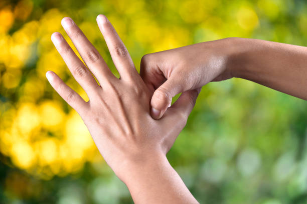 Energetische Psychotherapie Nürnberg